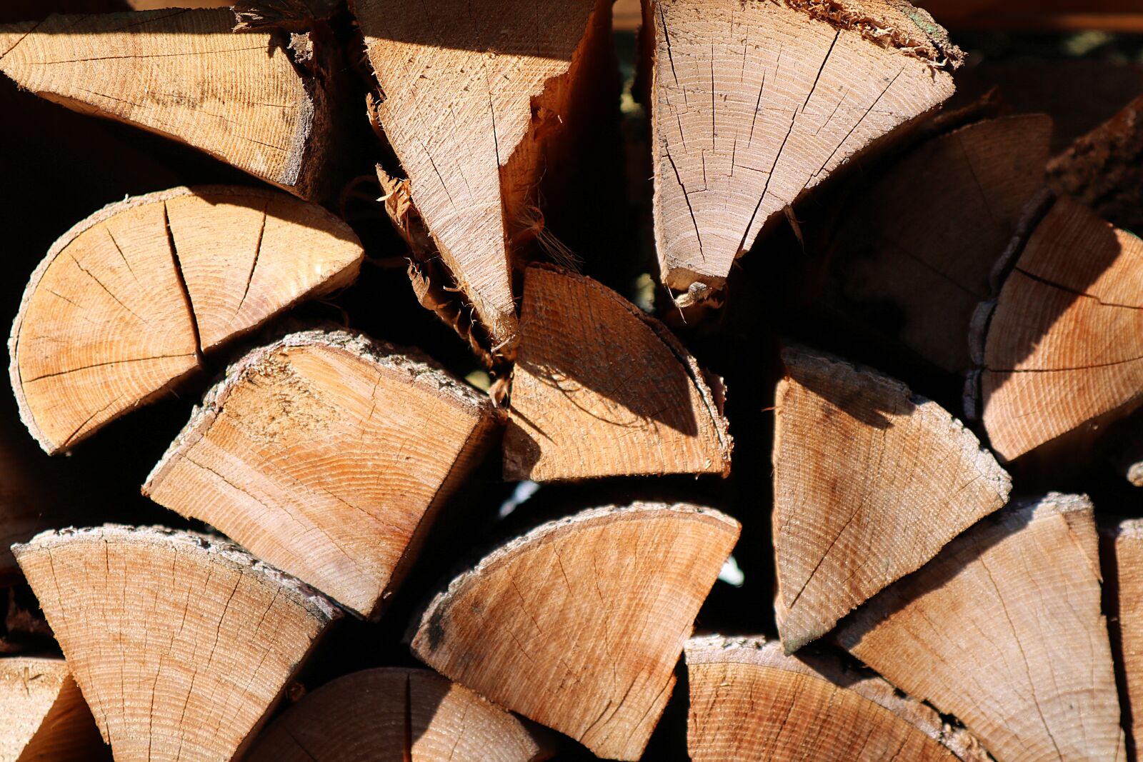 Canon EOS M100 sample photo. Wood, holzstapel, firewood photography