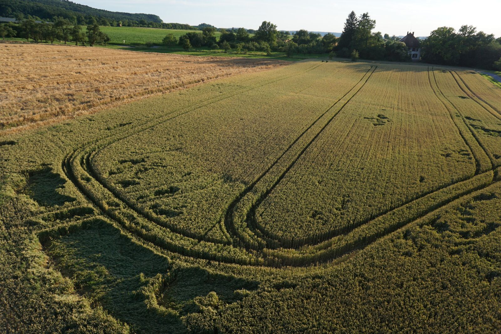 Sony E 16-50mm F3.5-5.6 PZ OSS sample photo. Aerial view, agriculture, bird's photography