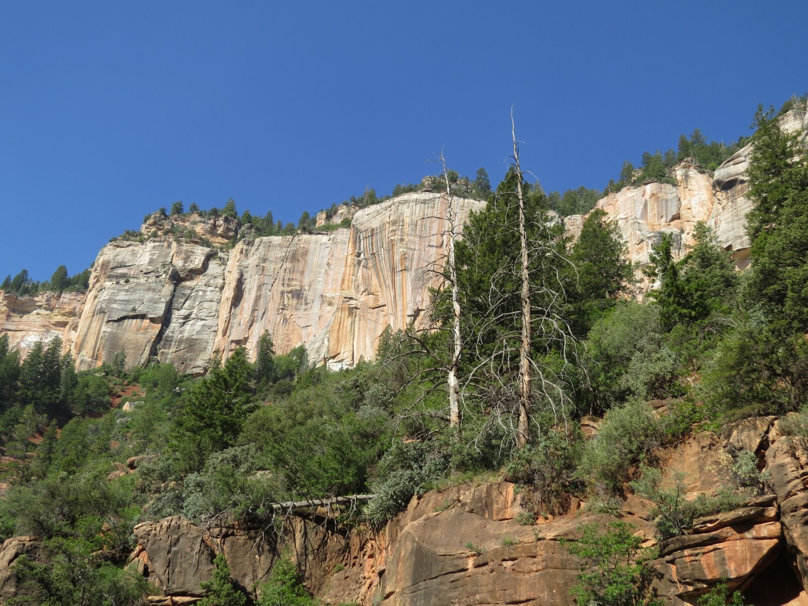 Canon PowerShot SX50 HS sample photo. Grand canyon, north rim photography