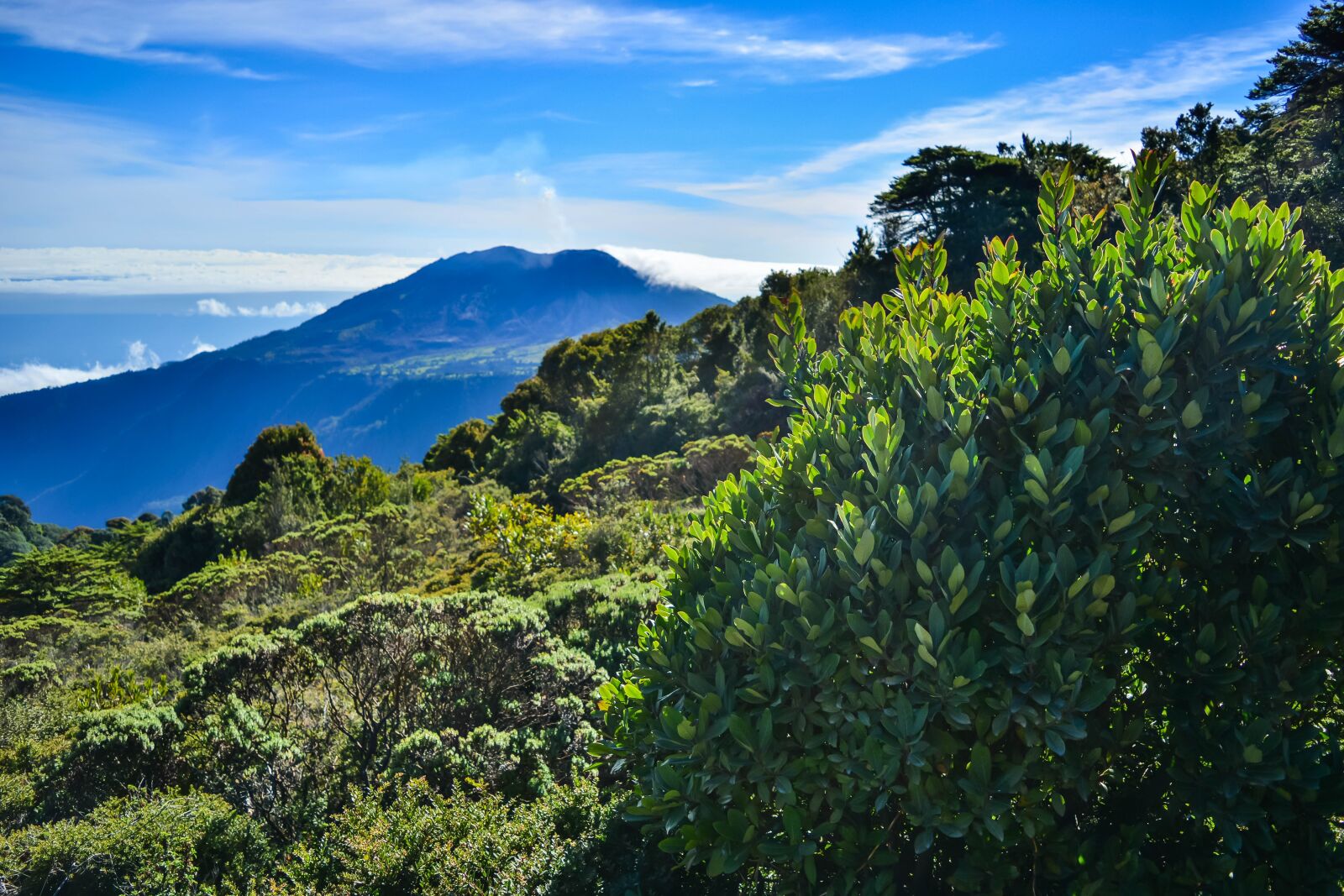 Nikon D5200 sample photo. Costa rica, volcano, mountain photography
