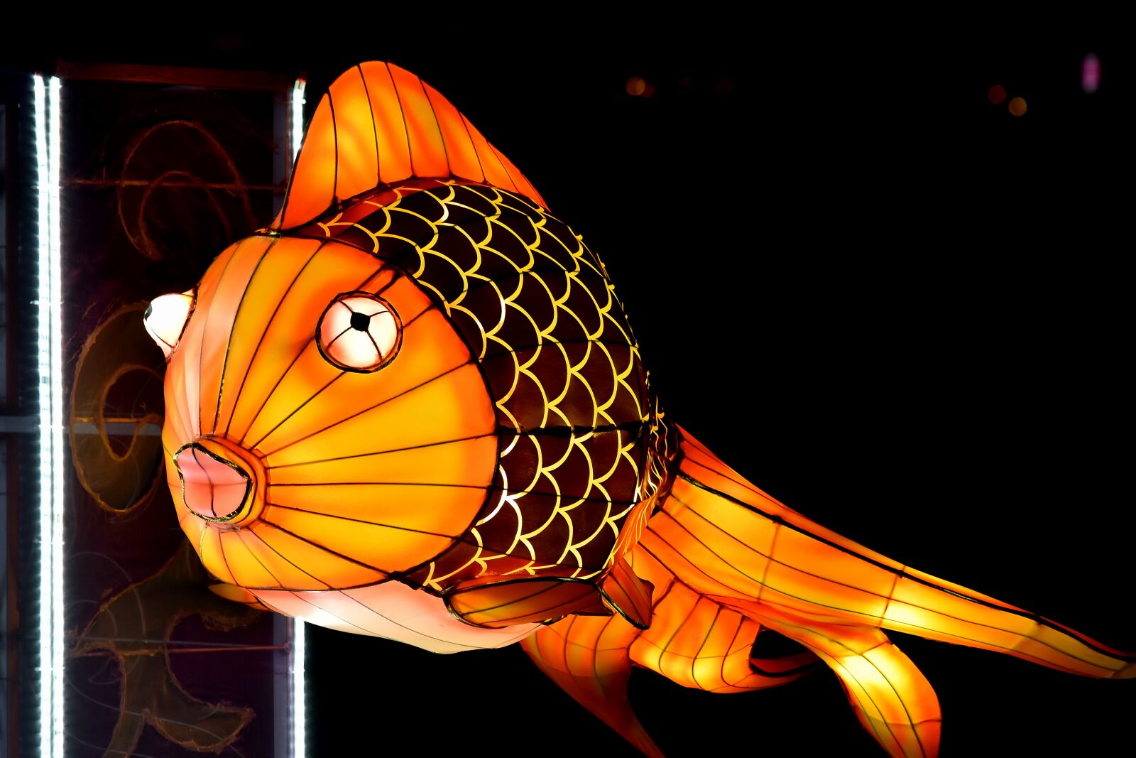 Nikon D5500 sample photo. Artwork, colorful, electricity, fish photography