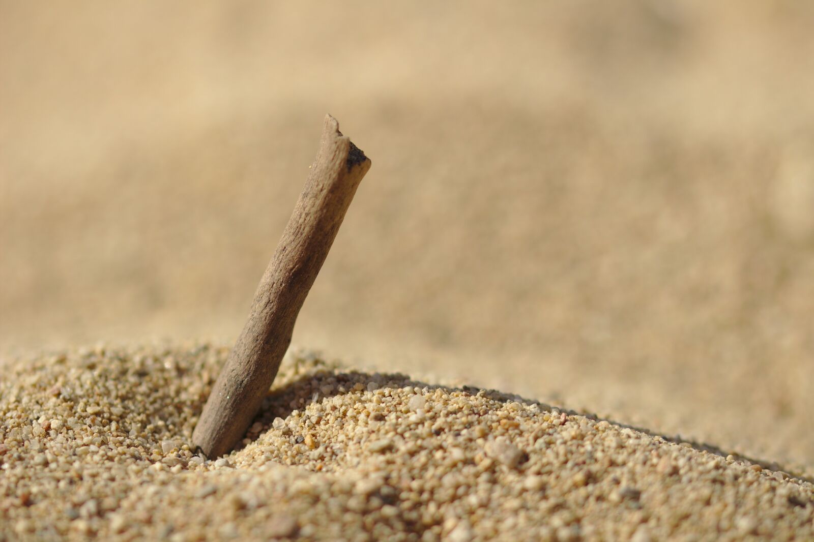 Canon EOS 600D (Rebel EOS T3i / EOS Kiss X5) sample photo. Sand, great, beach photography