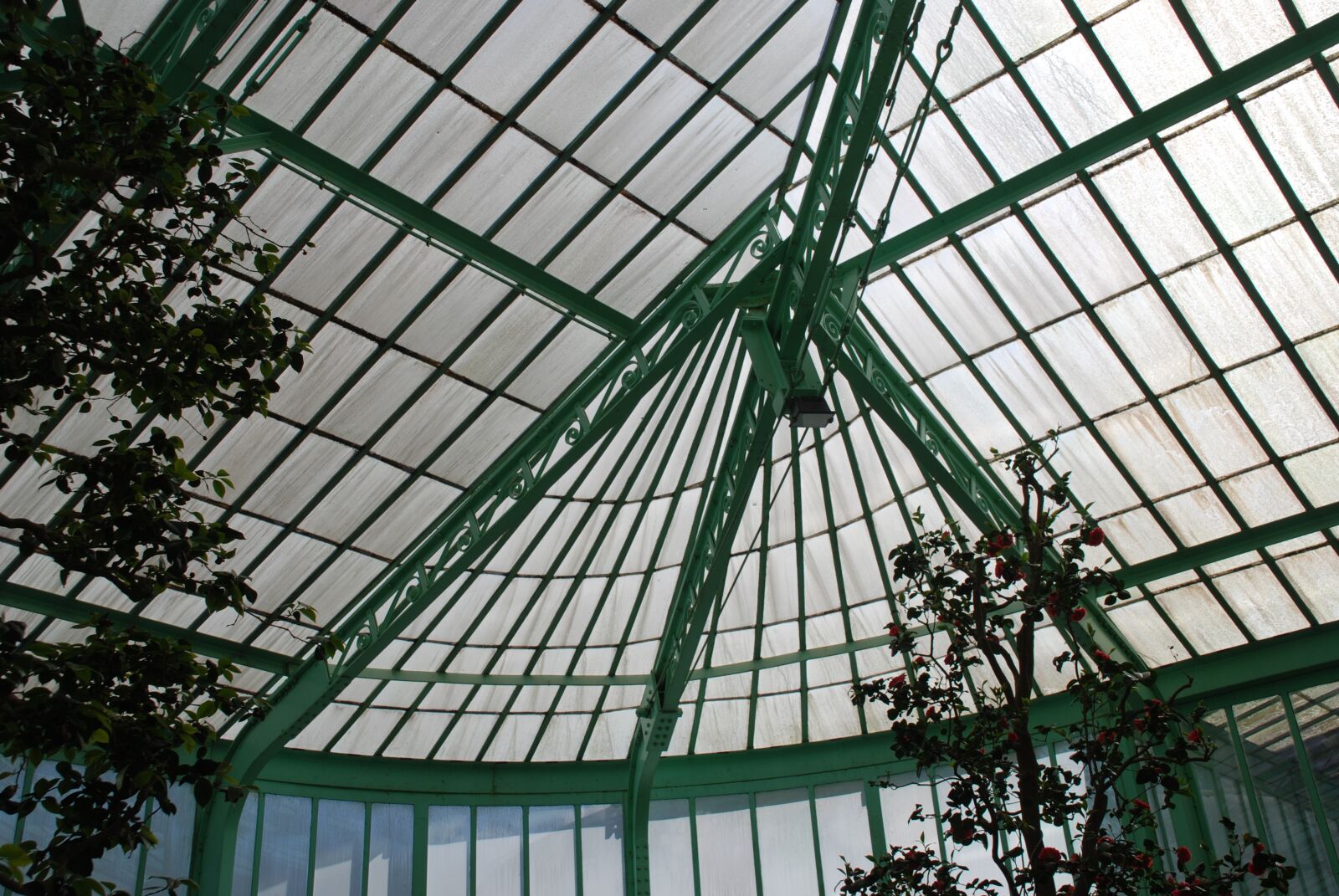 Nikon D80 sample photo. Botanical gardens, brussels, belgium photography