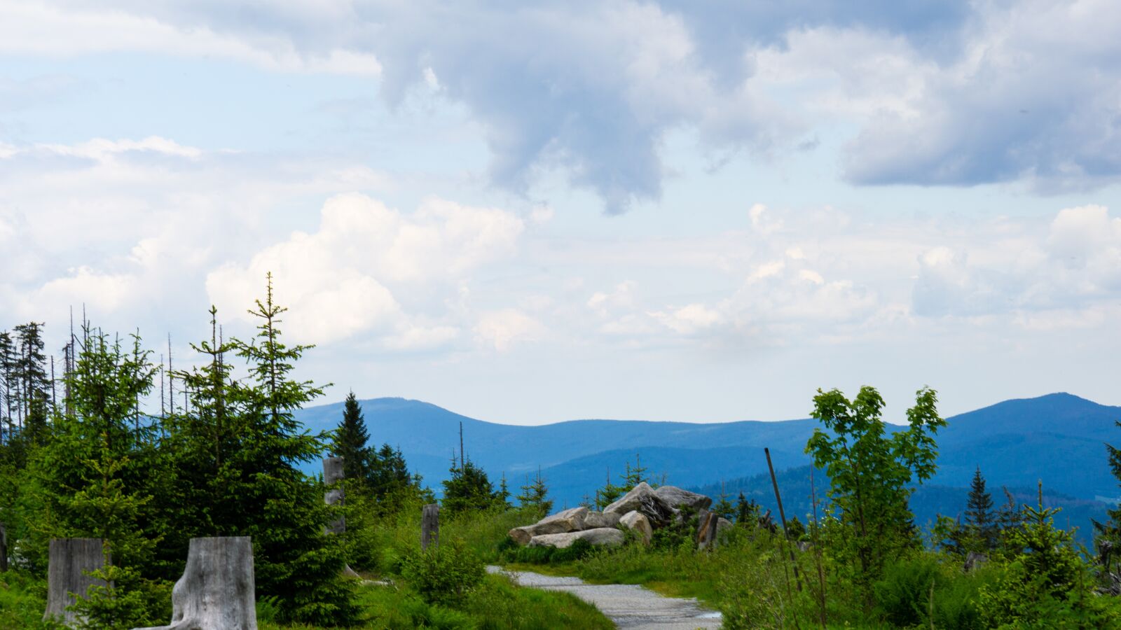 Sony a6000 + Sony FE 70-300mm F4.5-5.6 G OSS sample photo. Germany, bayerischer wald, dreisesselberg photography