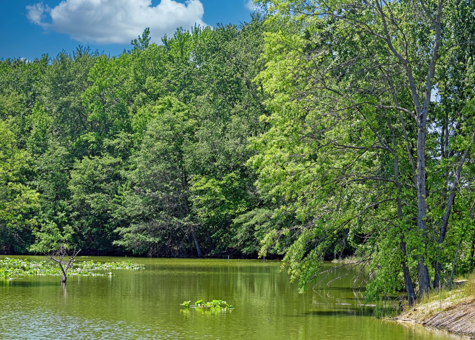 Nikon D3300 sample photo. Wetland, marsh, landscape photography