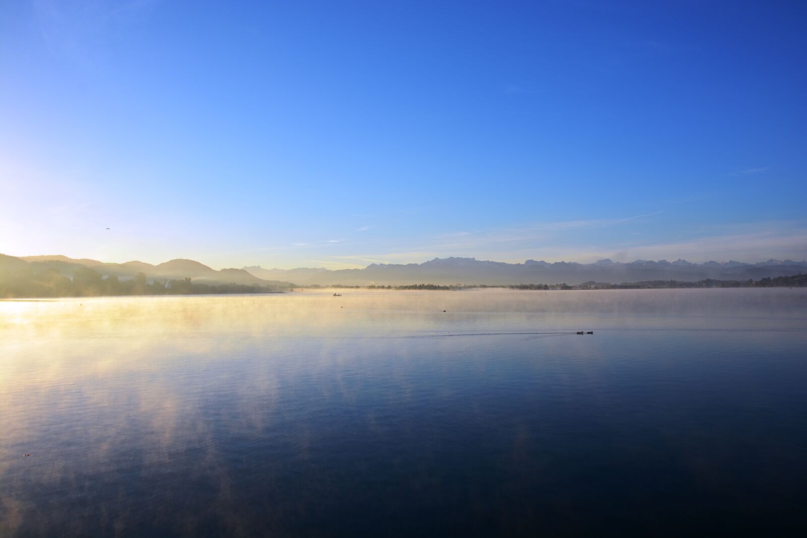 Nikon D7100 sample photo. Lake, fog, nature photography
