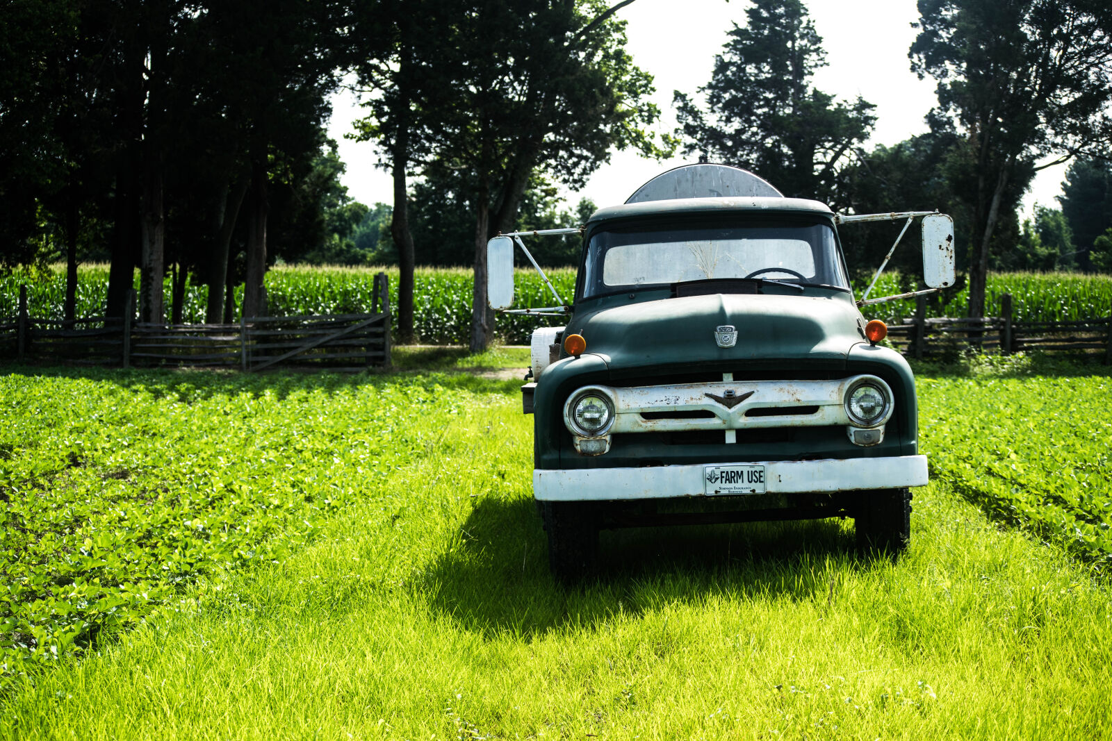 Nikon D3300 sample photo. Car, ford, truck photography