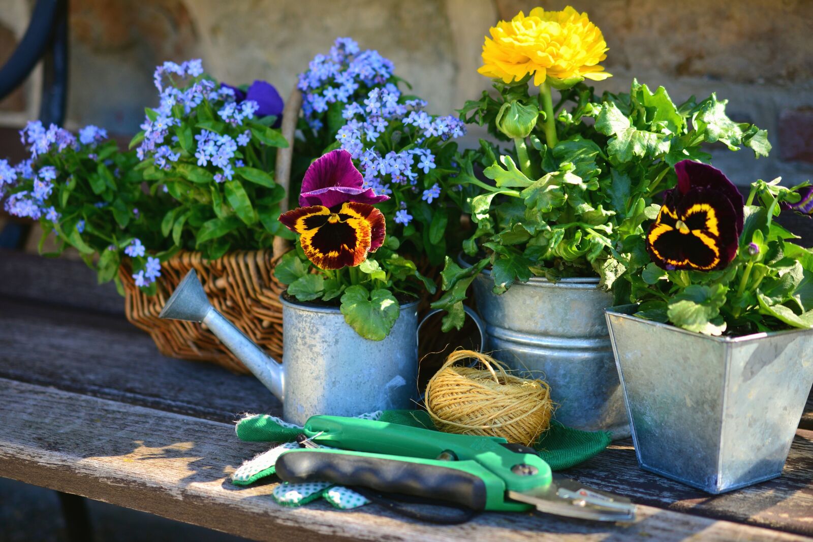 Nikon D5200 sample photo. Flower, flowering, plant, pot photography