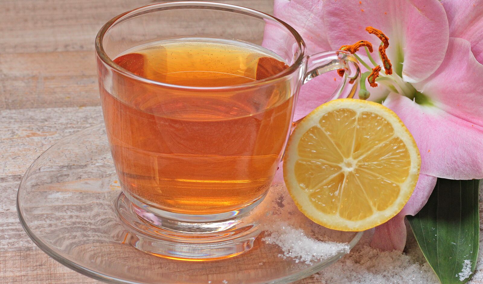 Canon EOS 550D (EOS Rebel T2i / EOS Kiss X4) sample photo. Tee, lemon, flower photography
