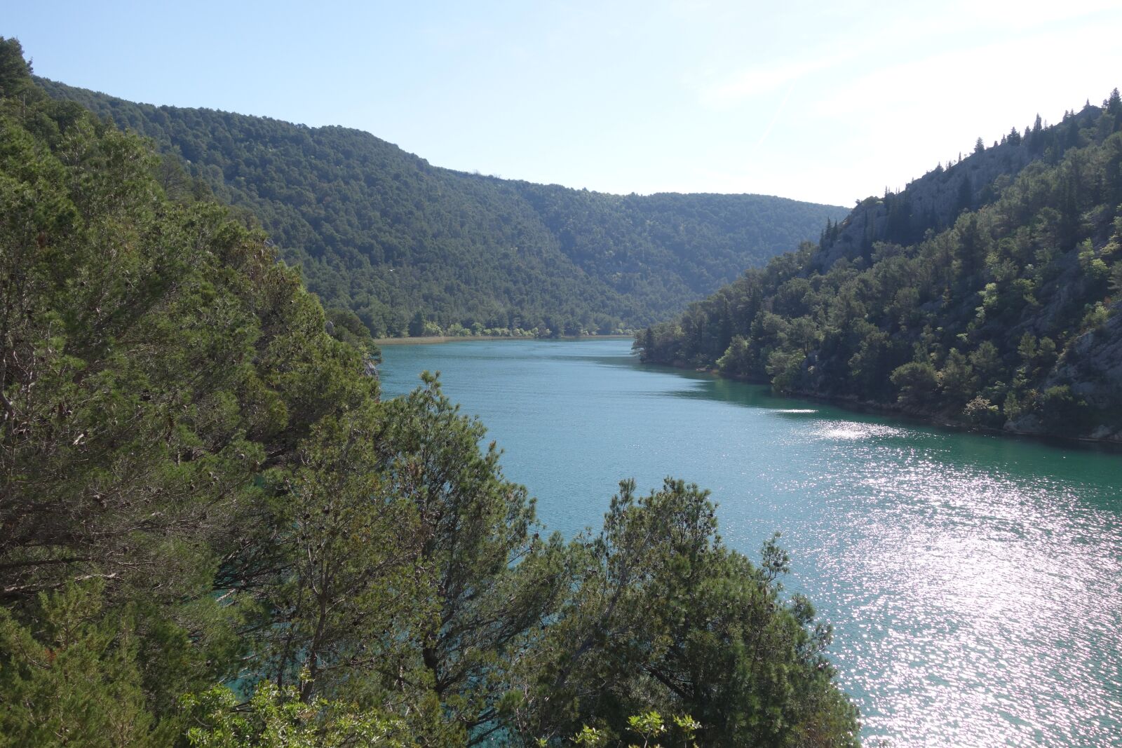 Sony Cyber-shot DSC-RX100 II sample photo. Lake, forest, nature photography