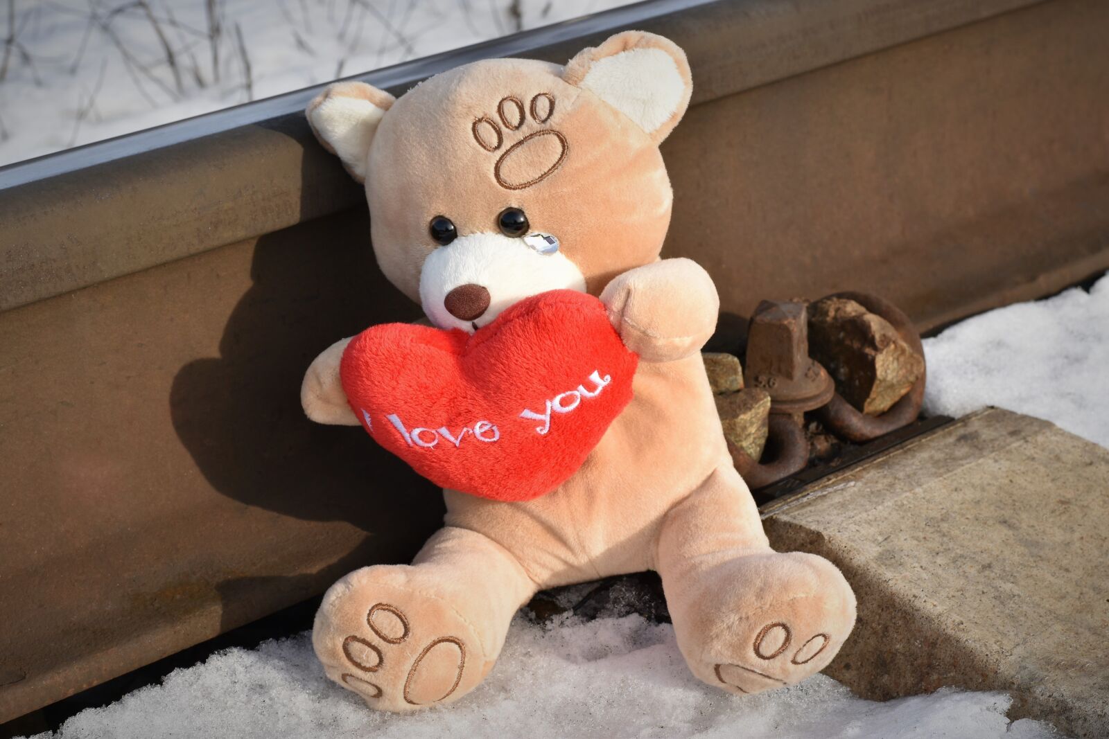 Nikon D5600 sample photo. Teddy bear crying, stop photography