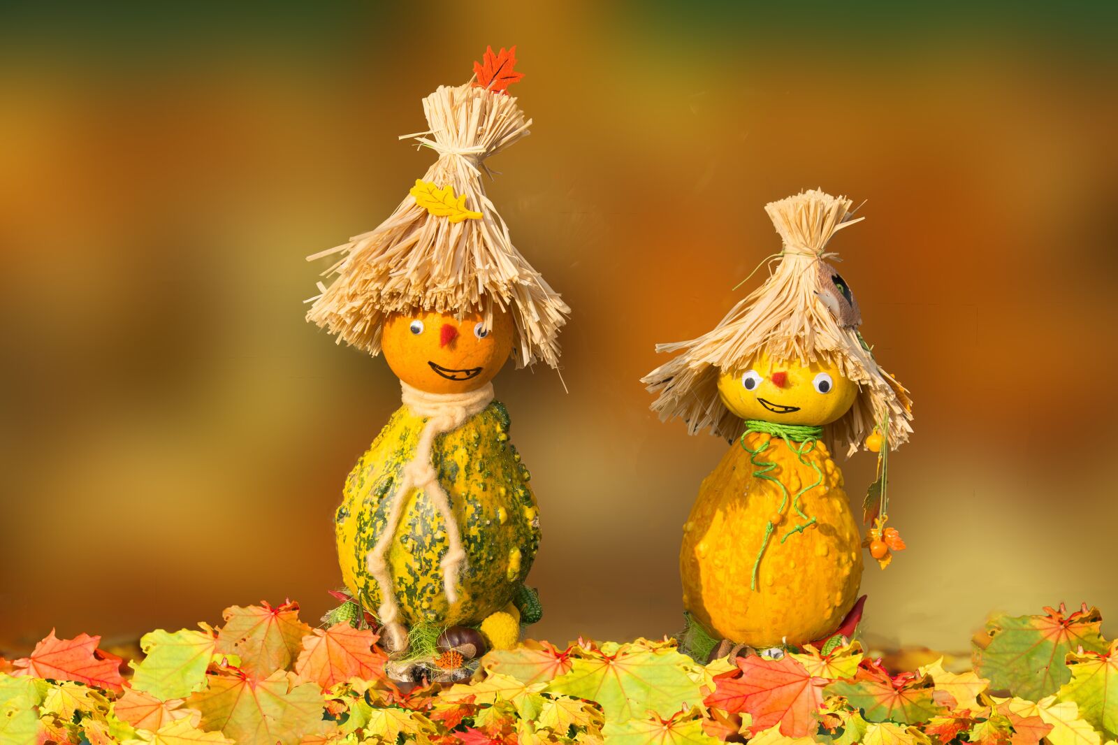 Nikon D3300 sample photo. Autumn, pumpkin man, do photography