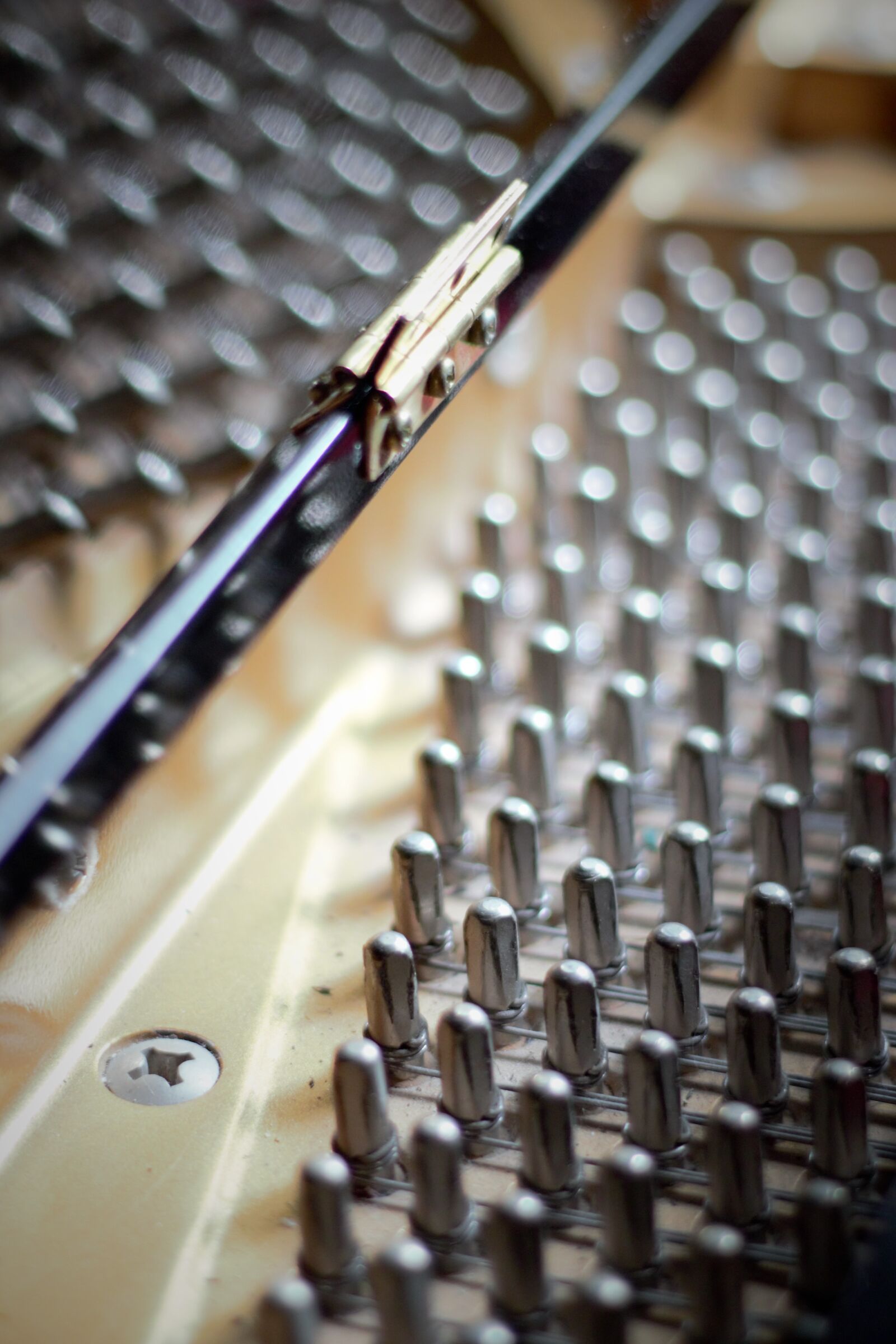 Canon EOS 600D (Rebel EOS T3i / EOS Kiss X5) sample photo. Piano, music, instrument photography