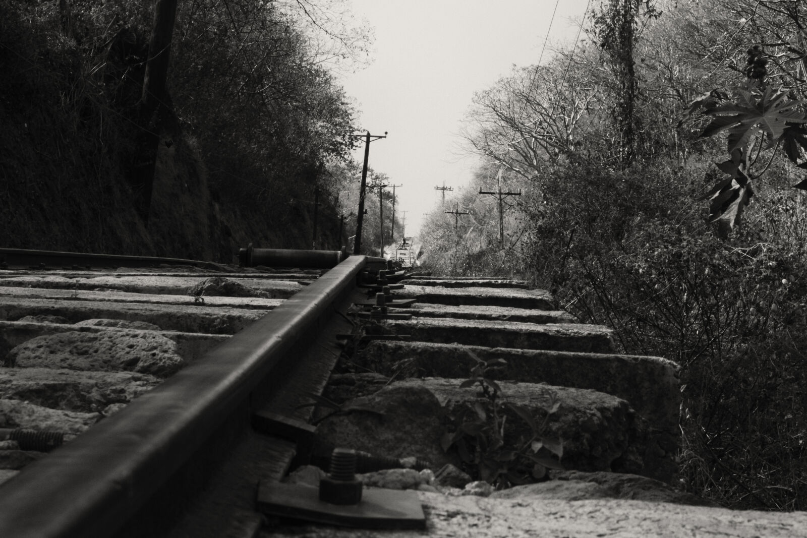 Canon EOS 1300D (EOS Rebel T6 / EOS Kiss X80) sample photo. Black, and, white, path photography