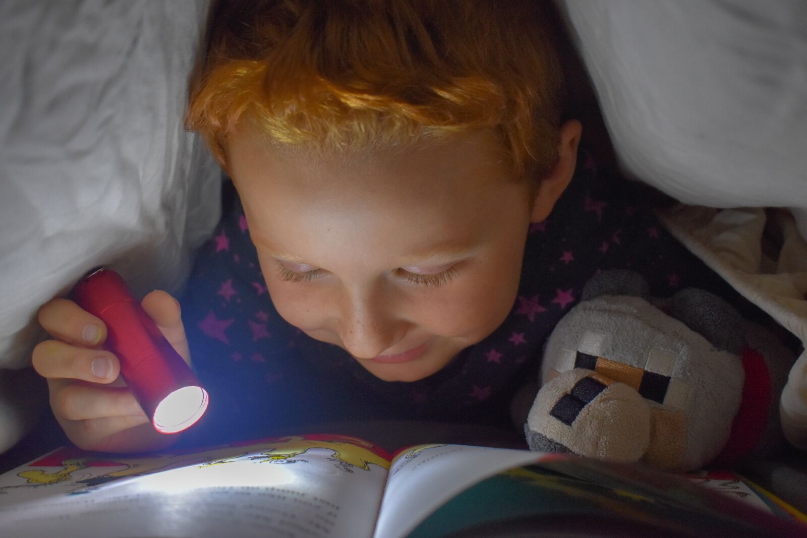 Nikon D3400 sample photo. Reading, bed, flashlight photography