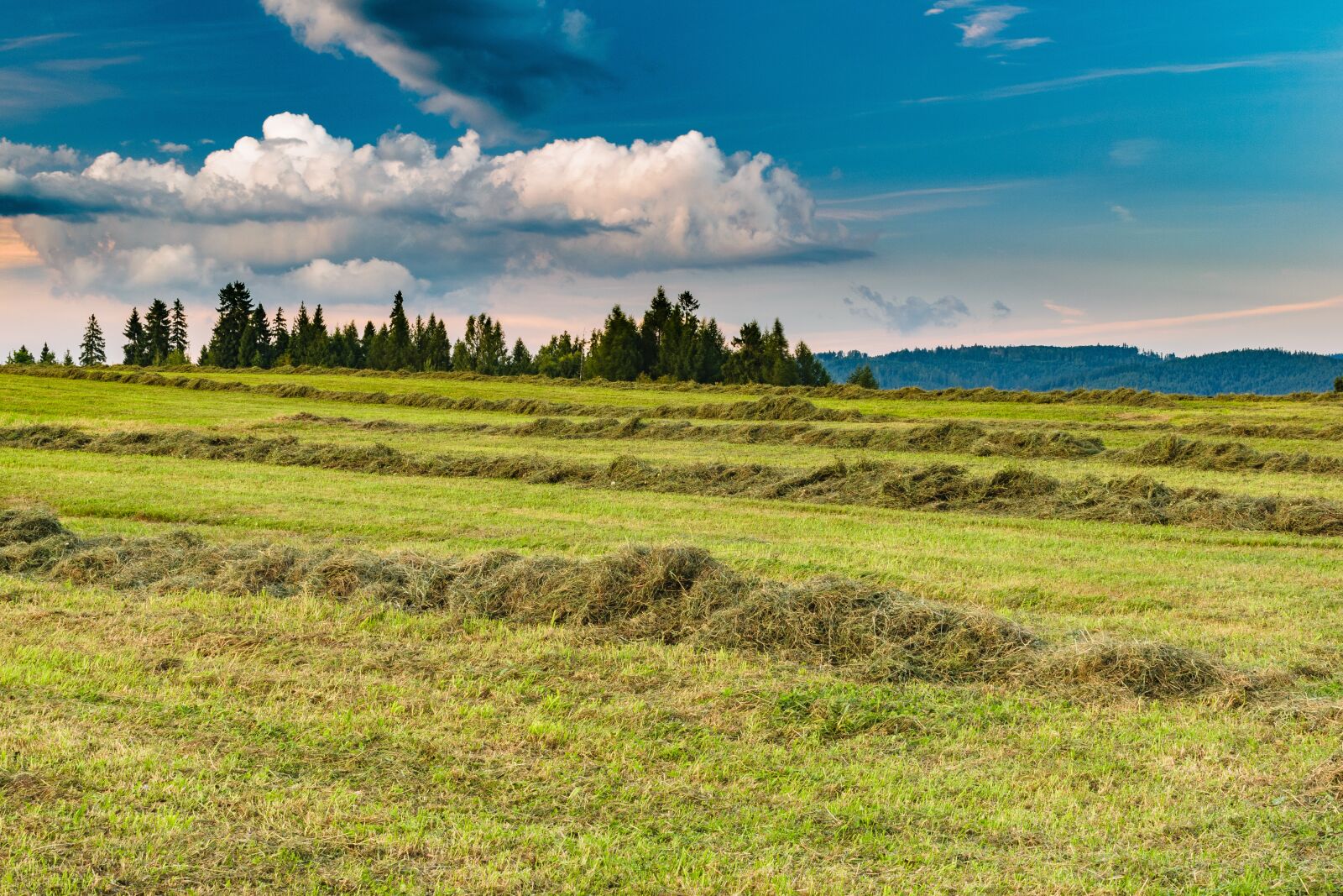 Nikon D5300 sample photo. Landscape, clouds, sky photography