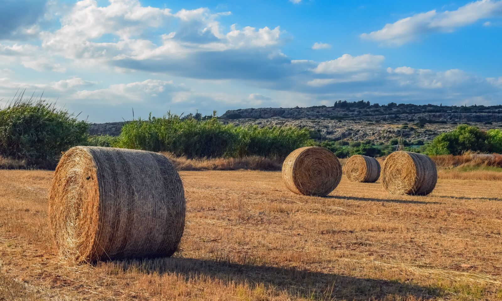 Nikon D3300 sample photo. Hay, straw, bale photography