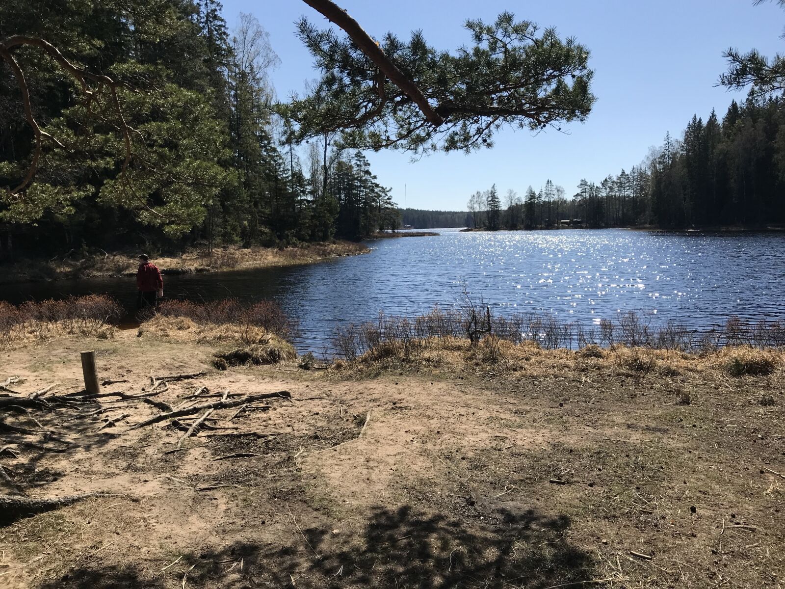 iPhone 7 back camera 3.99mm f/1.8 sample photo. Lake, water, nature photography