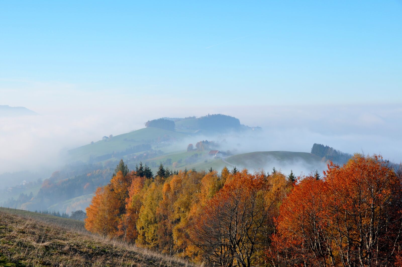 Nikon D90 sample photo. Autumn, autumn mood, colorful photography