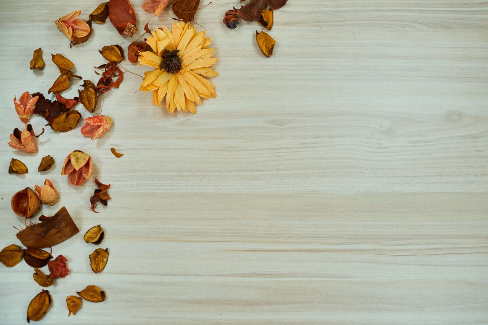 Sony a7R II sample photo. Background, fiction, pattern photography