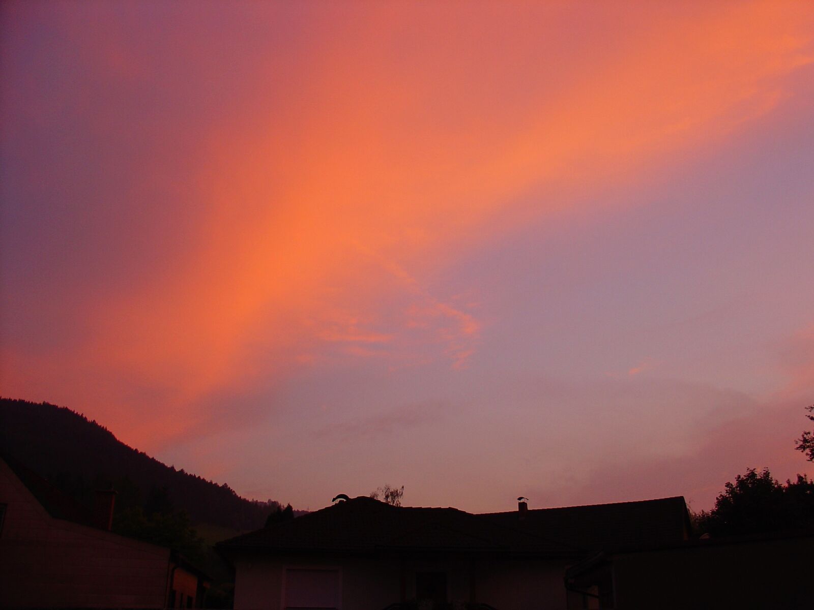 Sony DSC-V1 sample photo. Sky, sunset, red photography