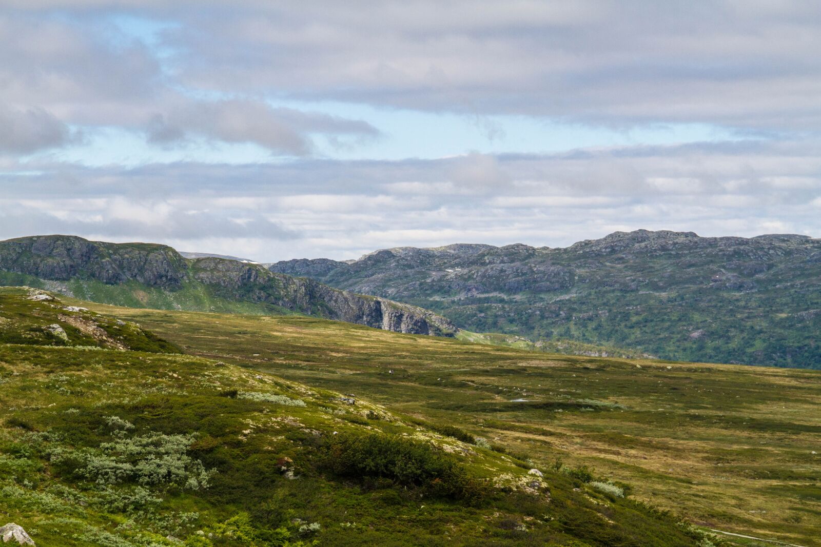 Canon EOS 7D sample photo. Mountains, heather, norway photography