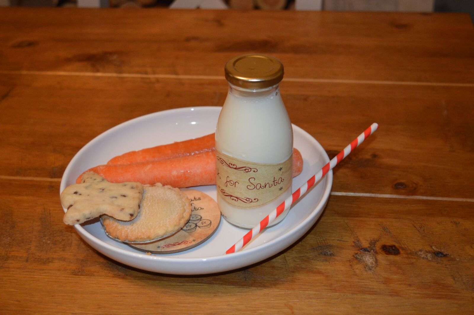 Nikon D3200 sample photo. Plate for santa, mince photography