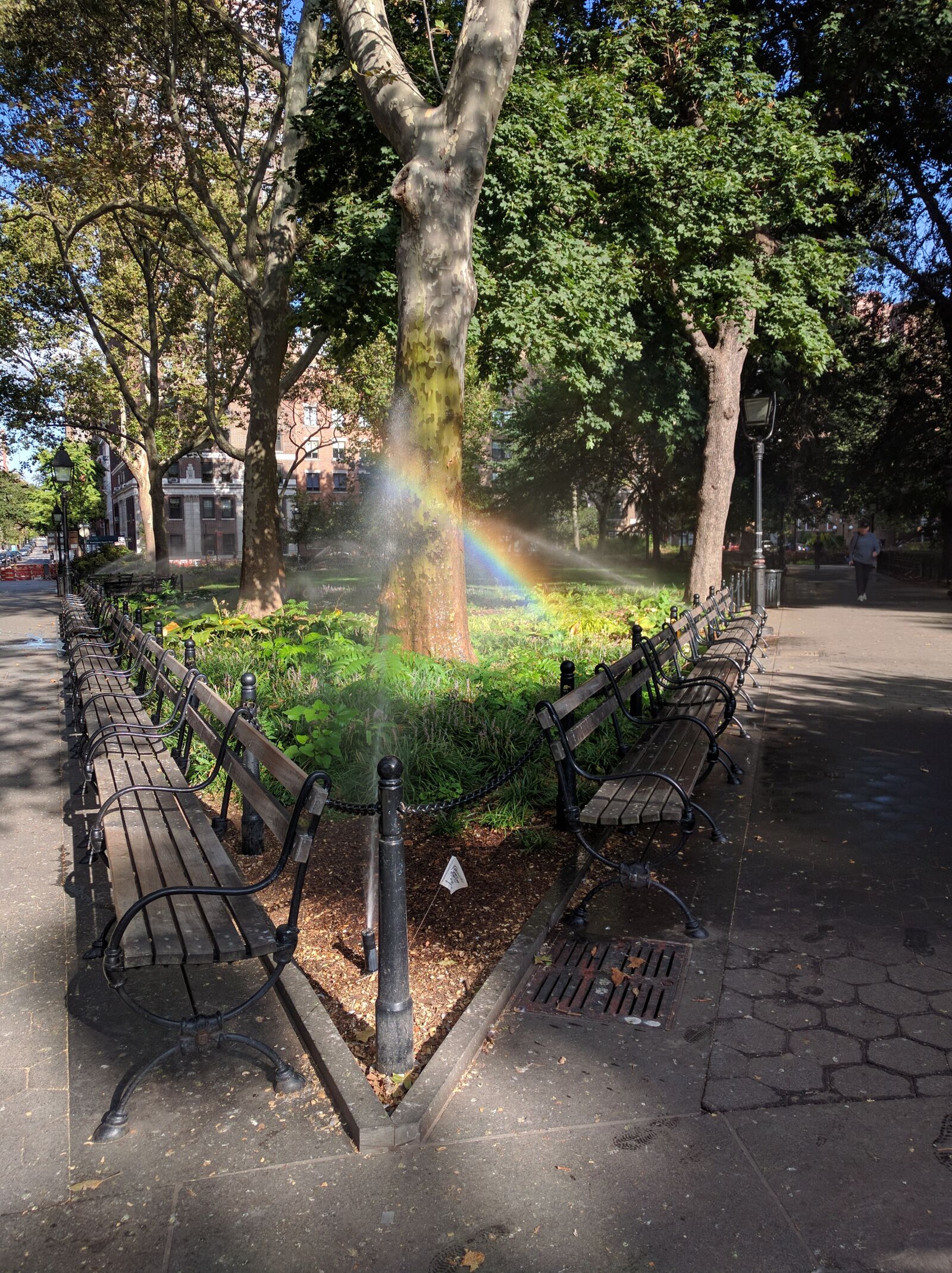 Google Nexus 6P sample photo. New york, rainbow, washington photography