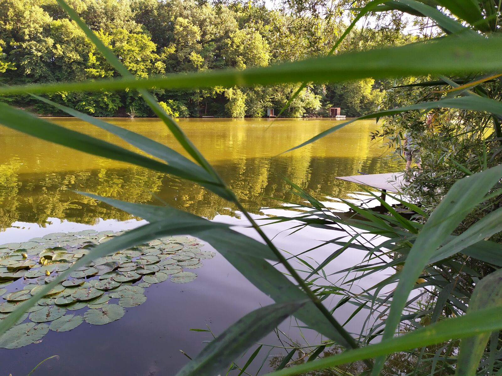Xiaomi Redmi Note 7 sample photo. Tolm csi lake, lake photography
