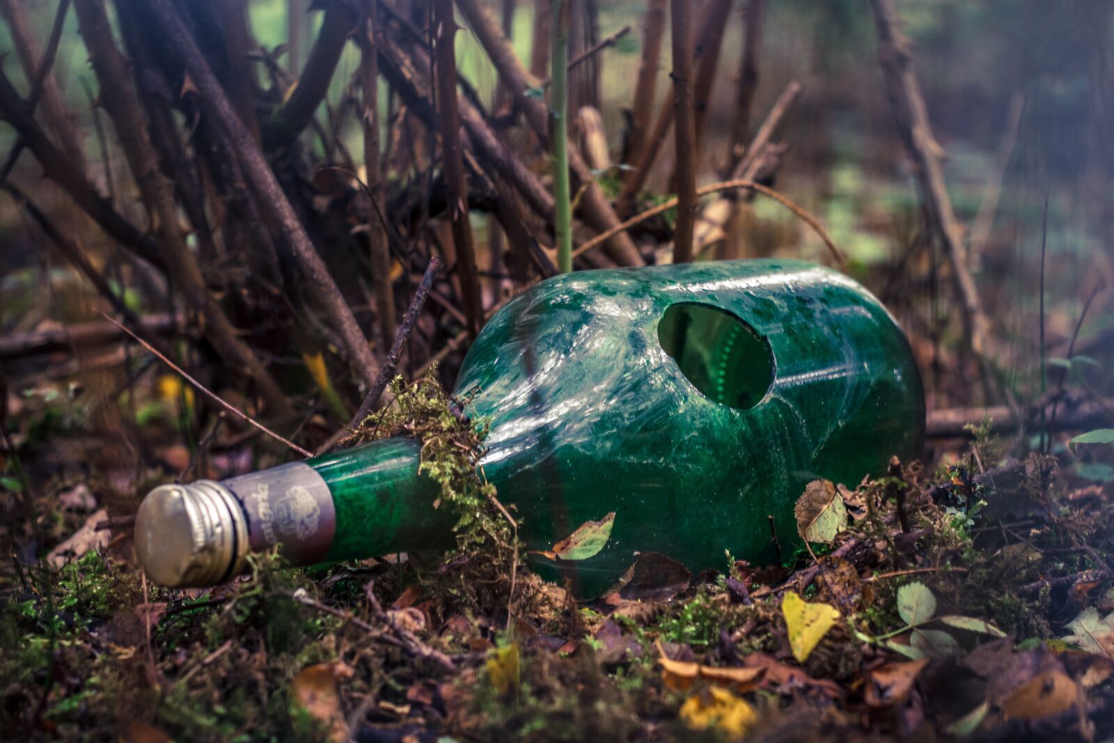 Canon EOS 7D + Canon EF 50mm F1.8 II sample photo. Bottle, broken, forest photography
