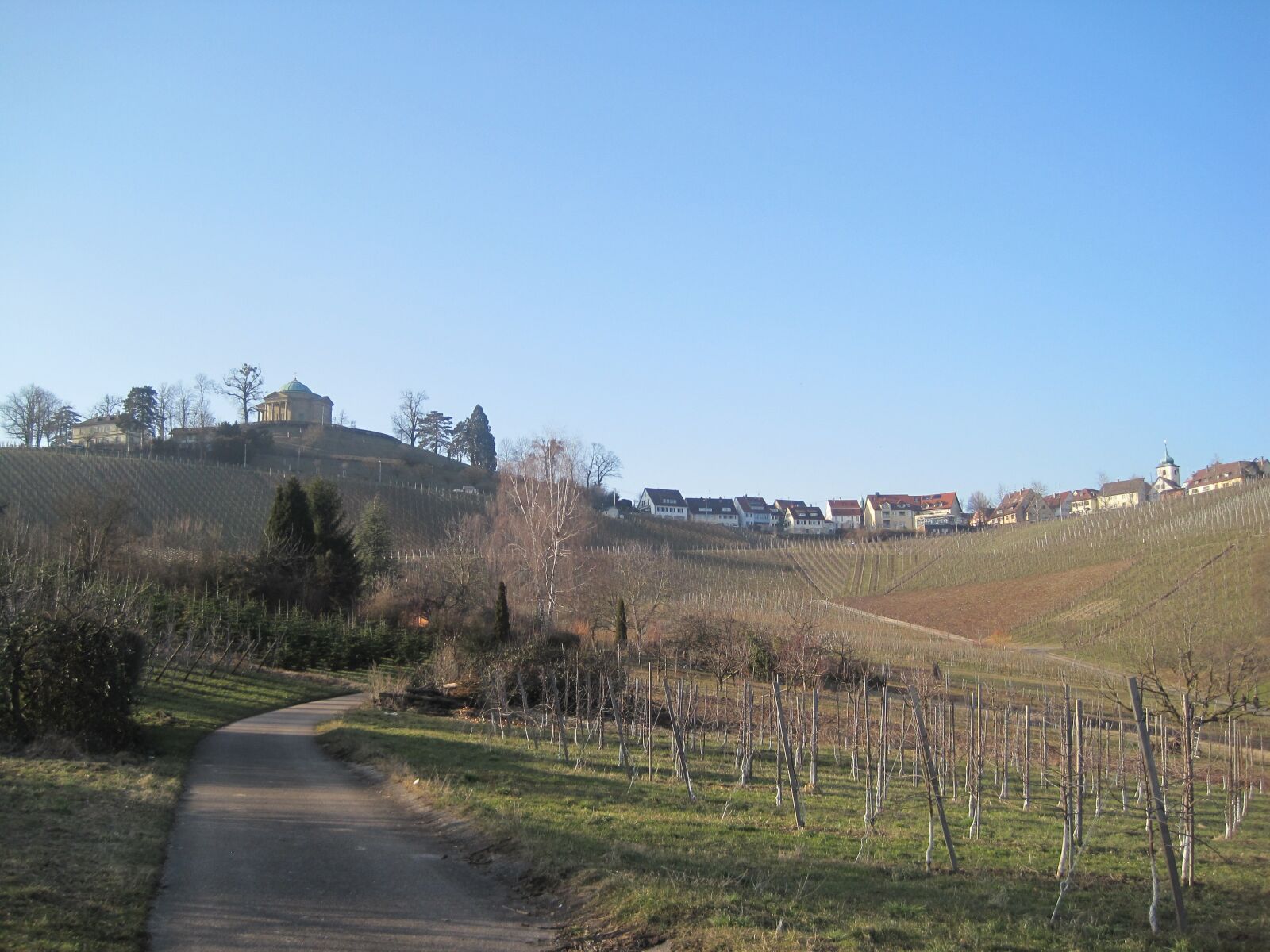 Canon PowerShot SD1200 IS (Digital IXUS 95 IS / IXY Digital 110 IS) sample photo. Vineyards, autumn, nature photography