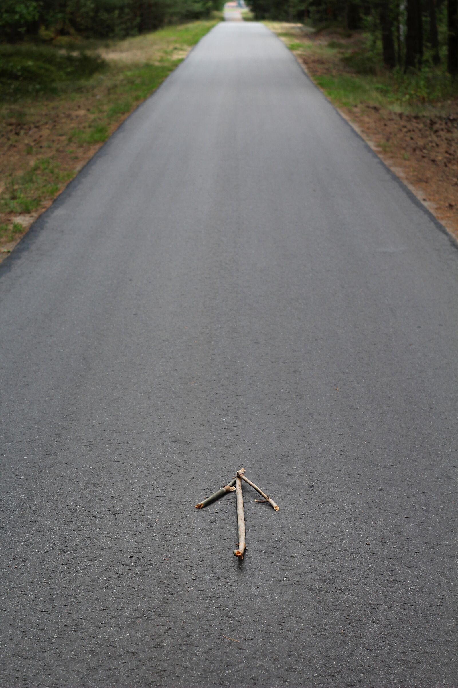 Canon EOS 1200D (EOS Rebel T5 / EOS Kiss X70 / EOS Hi) sample photo. Way, arrow, direction photography
