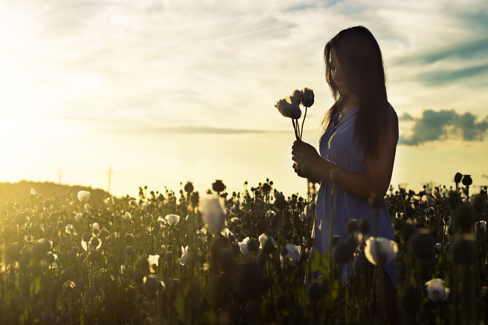 Canon EOS 600D (Rebel EOS T3i / EOS Kiss X5) + Canon EF 50mm F1.8 II sample photo. Model, red weed, field photography