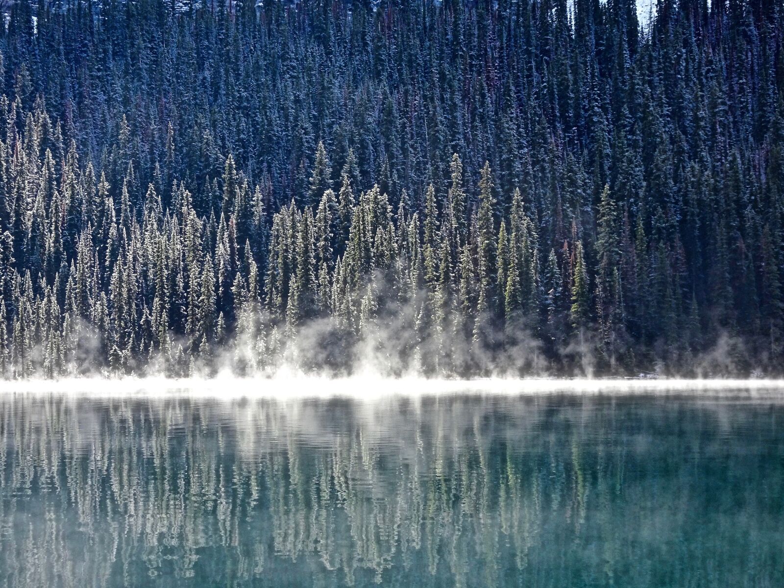 Sony Cyber-shot DSC-HX90V sample photo. Mist, morning, lake photography