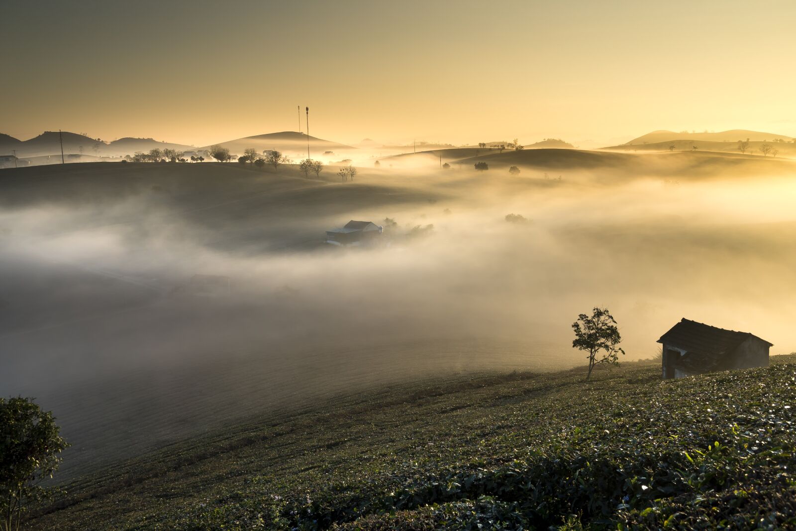 Sony a6500 + Sony Vario-Tessar T* E 16-70mm F4 ZA OSS sample photo. Farm, the morning, s photography