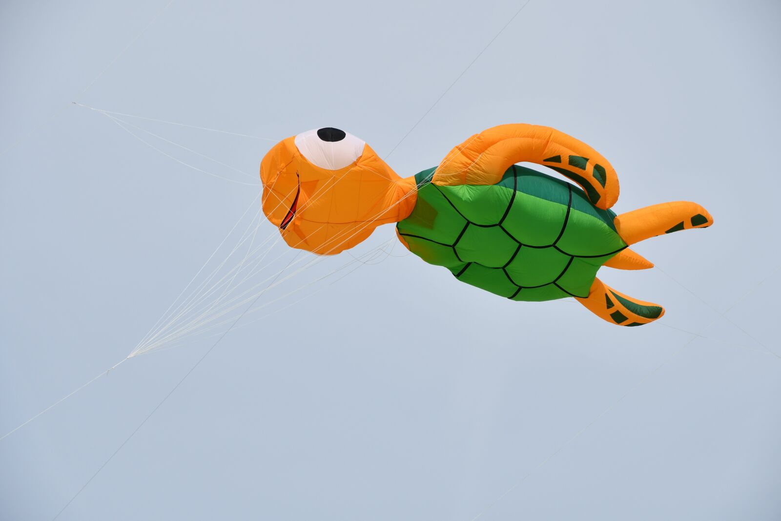 Nikon D7500 sample photo. Contest, kites photography