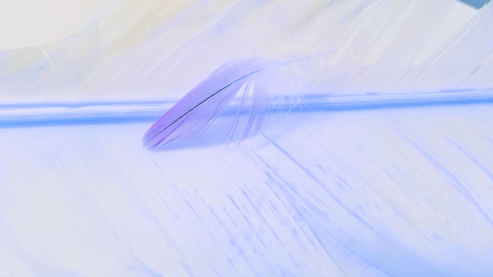Samsung Galaxy S7 sample photo. Cold, abstract, blur photography