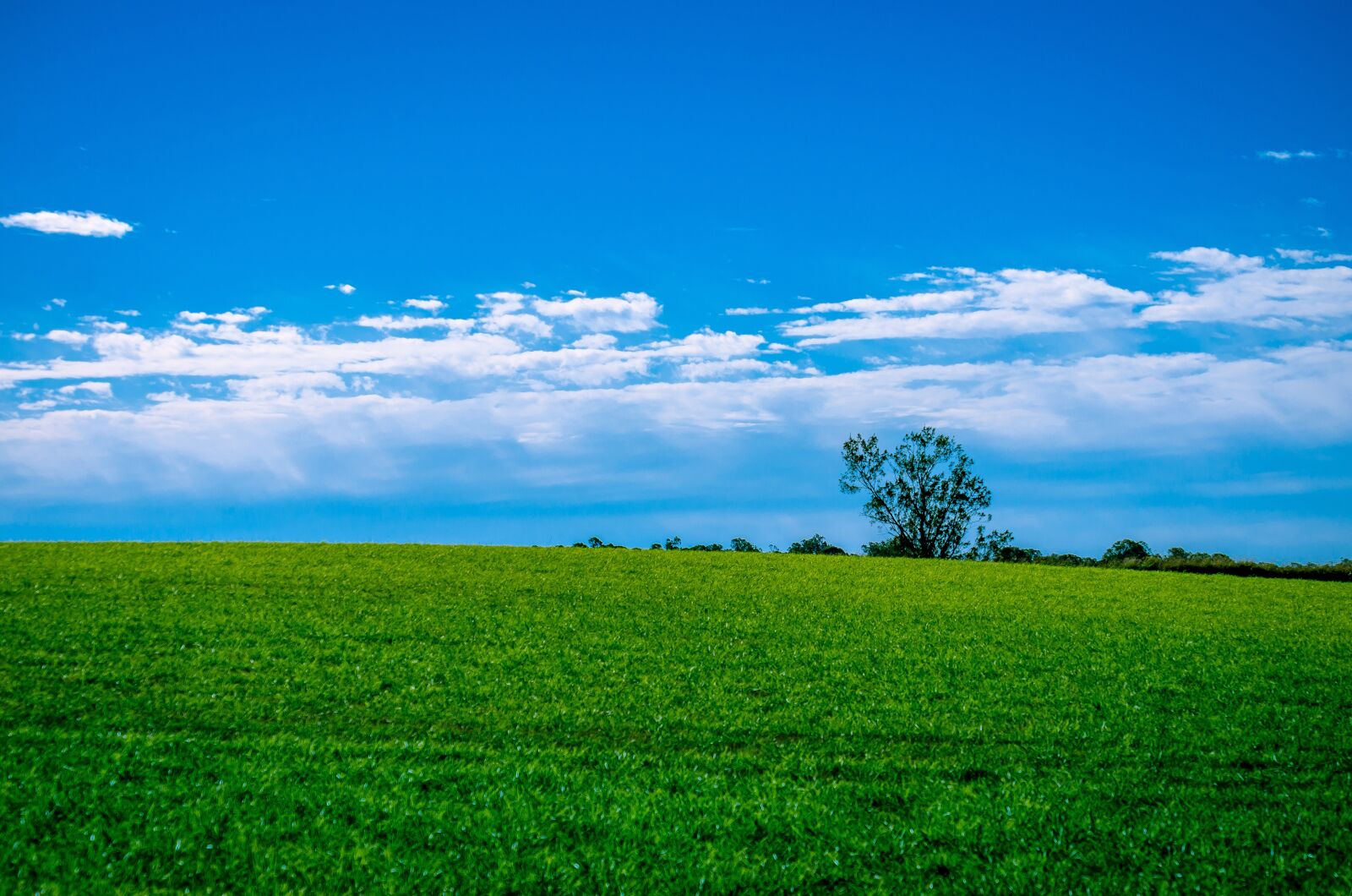 Nikon D7000 sample photo. Landscape, grass, sky photography