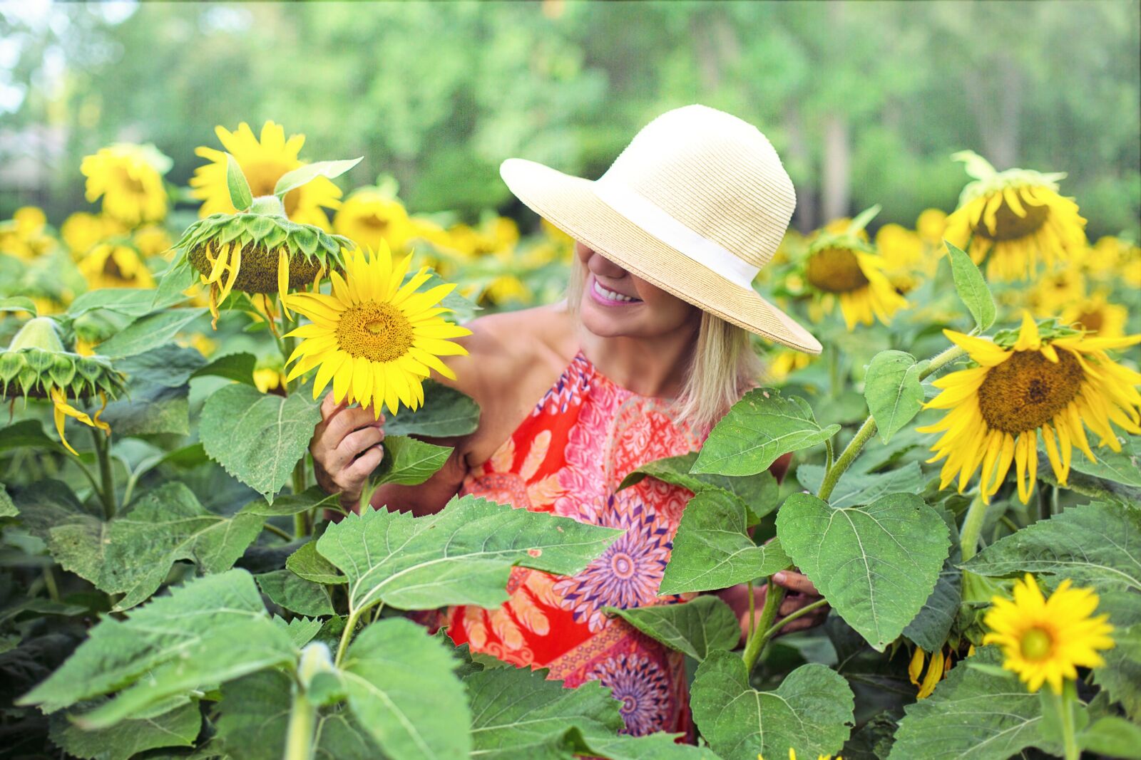 Canon EOS 5D Mark III sample photo. Sunflowers, field, woman photography