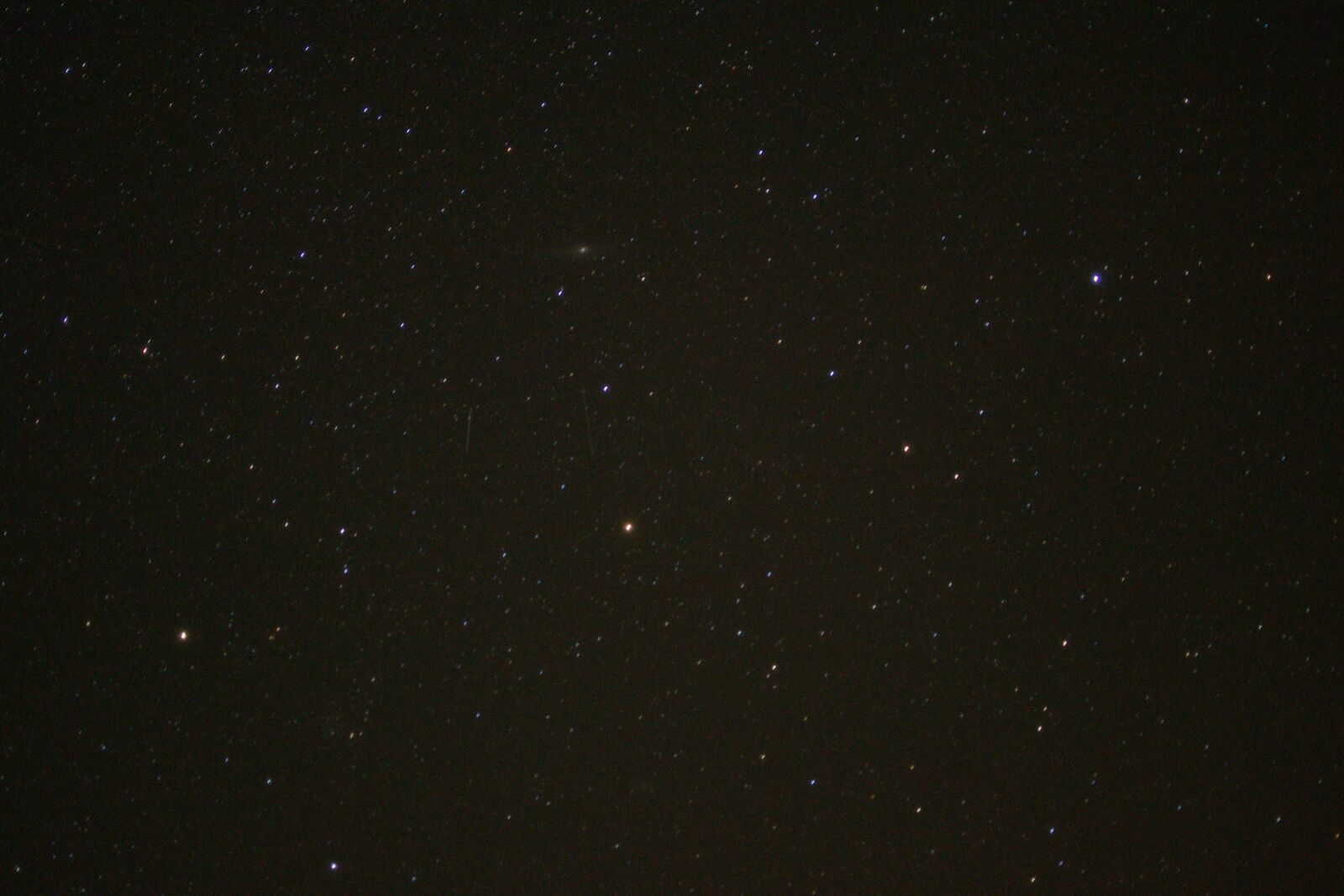 Nikon D3100 sample photo