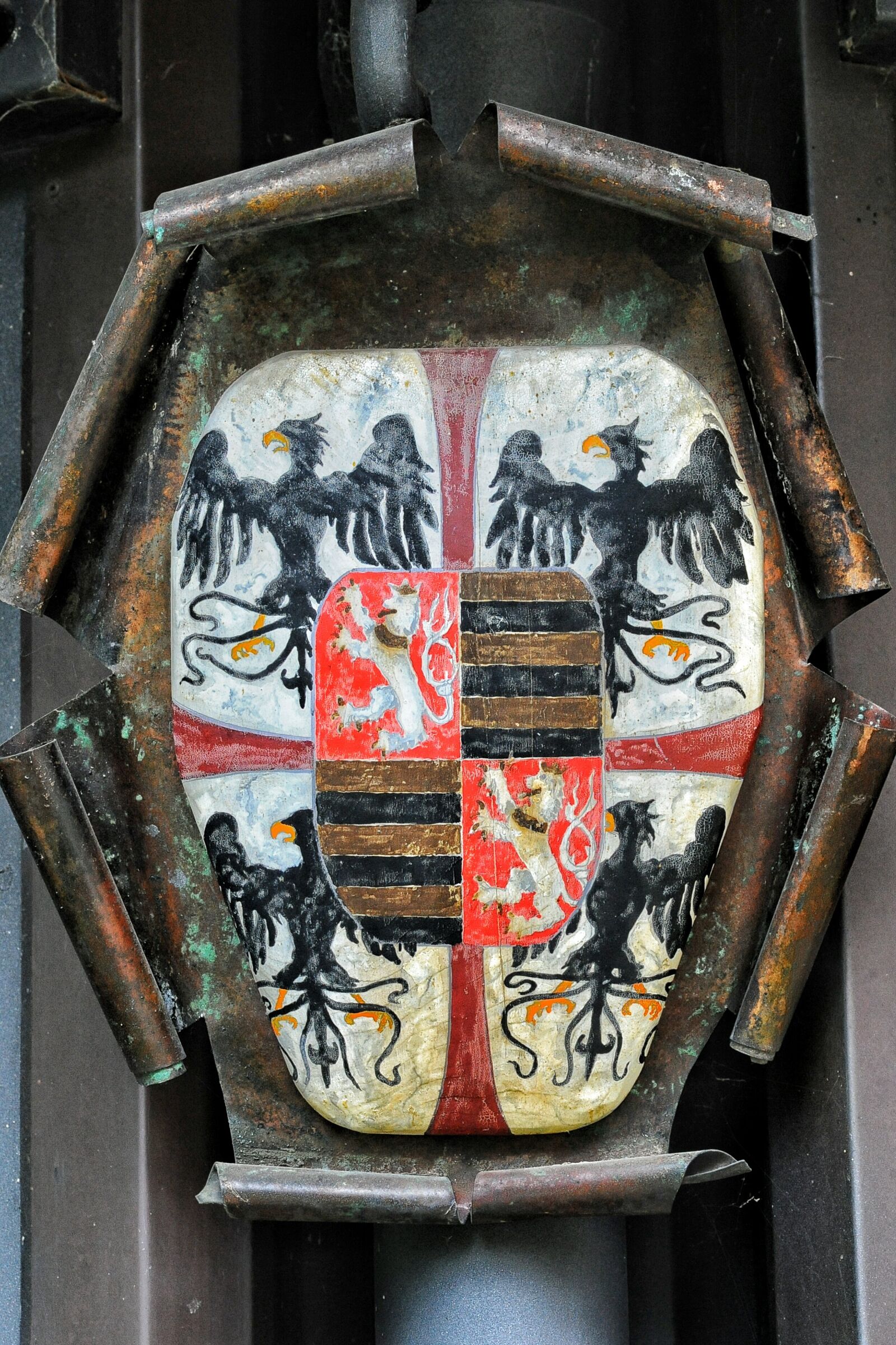 Nikon D700 sample photo. Coat of arms, texture photography