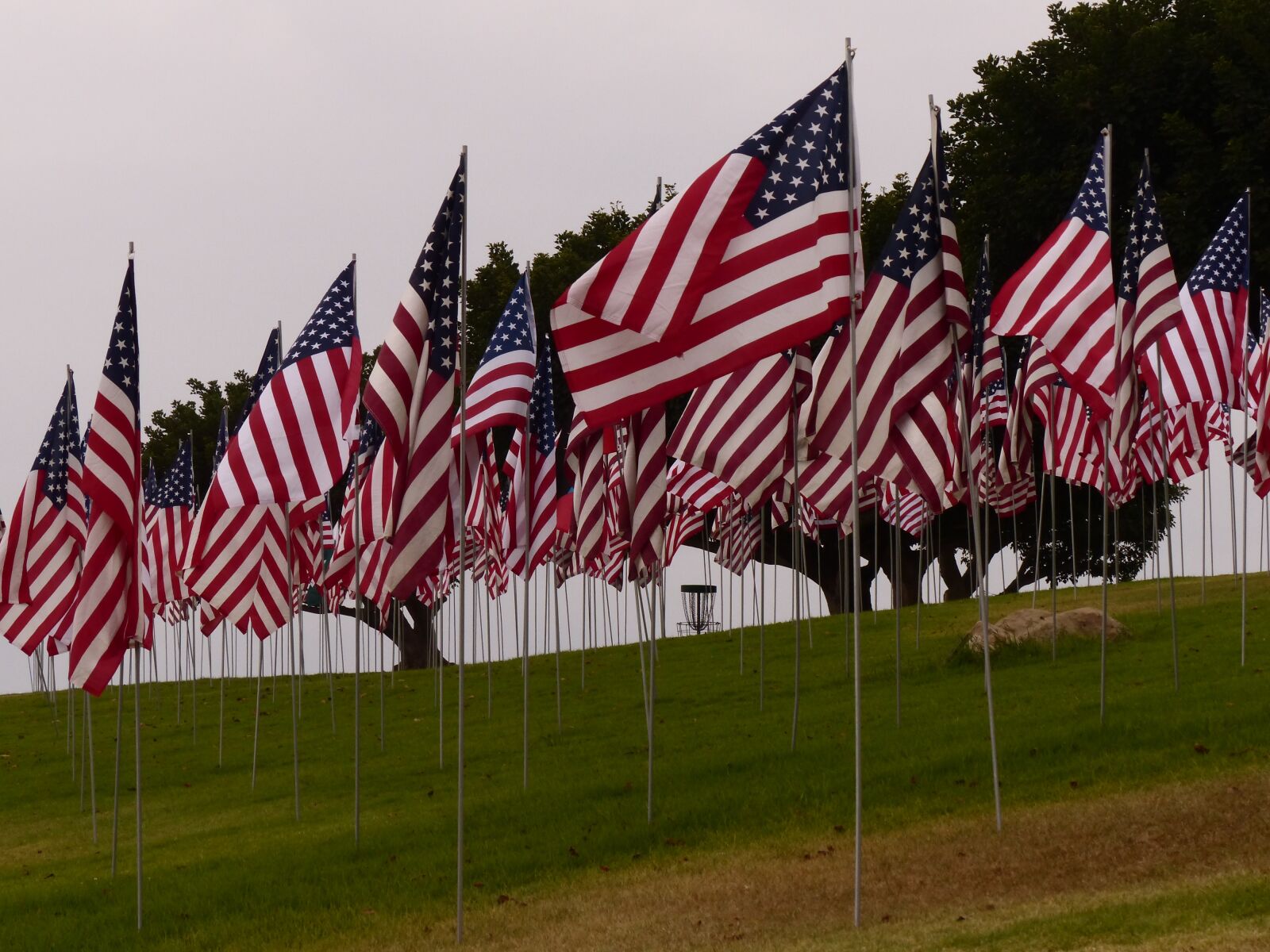 Panasonic Lumix DMC-FZ200 sample photo. September 11, 9-11, flags photography