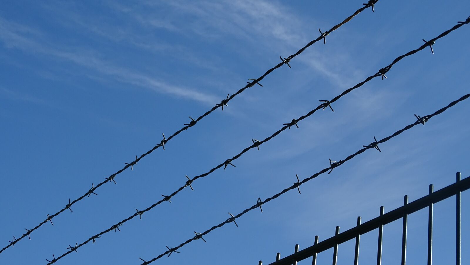 Sony Cyber-shot DSC-HX350 sample photo. Barbed wire, fence, border photography