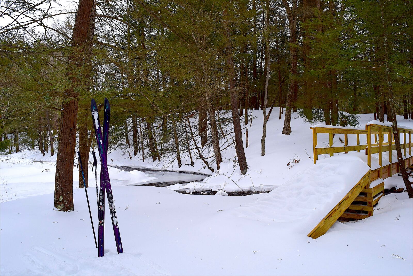 Nikon D3300 sample photo. Winter, snow, cross country photography