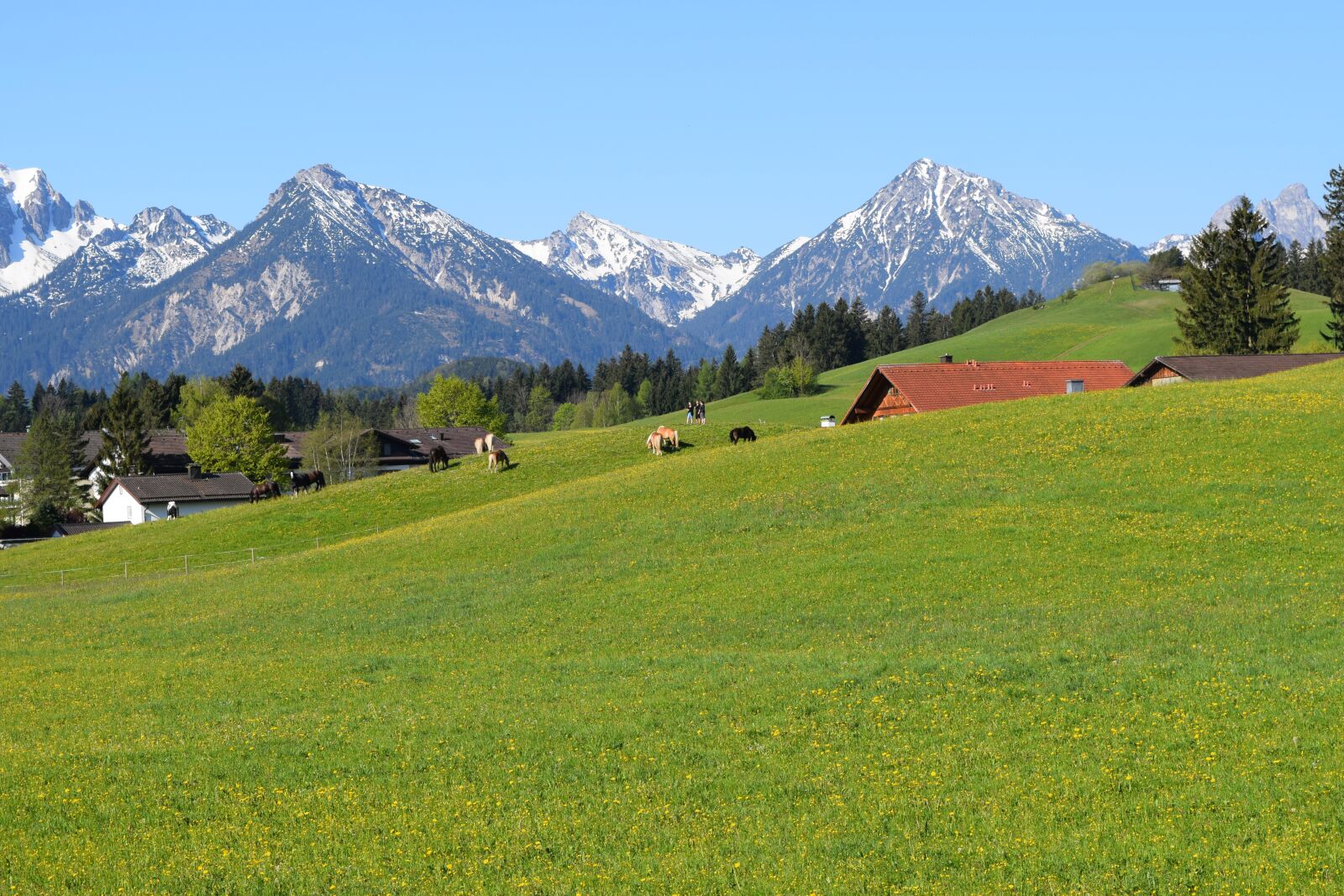 Nikon D3300 sample photo. Germany, füssen, mountain photography
