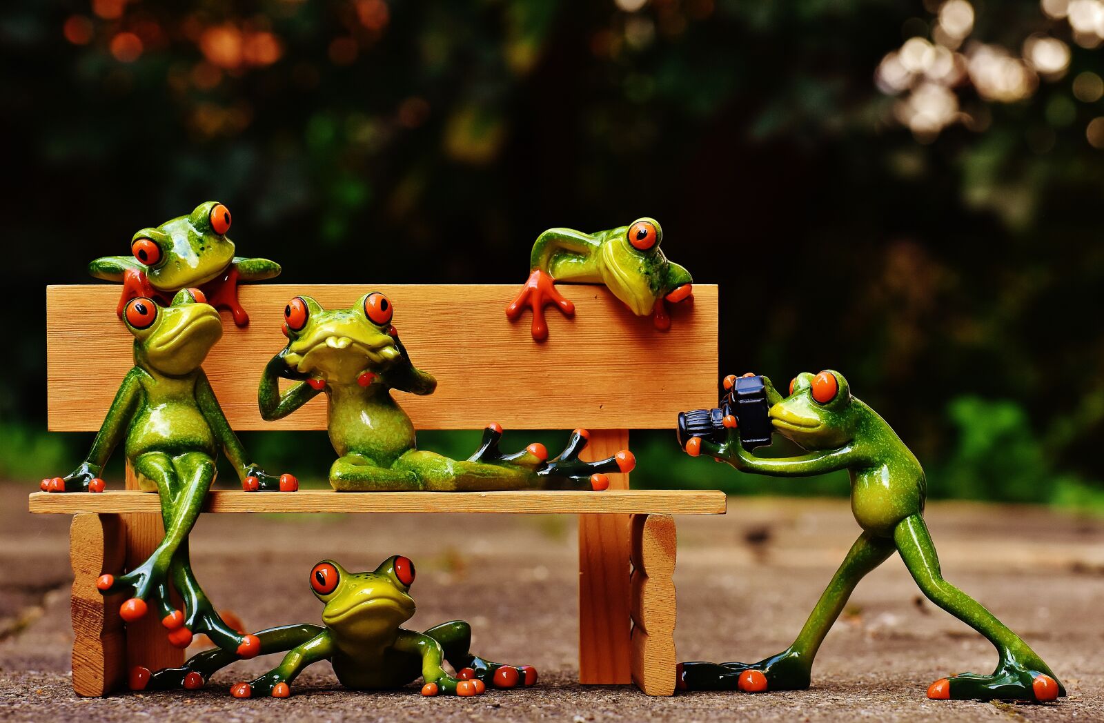 Nikon D7200 sample photo. Frogs, photographer, sociable photography