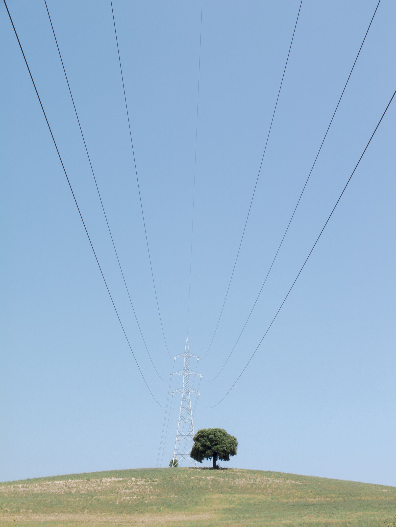 Fujifilm X10 sample photo