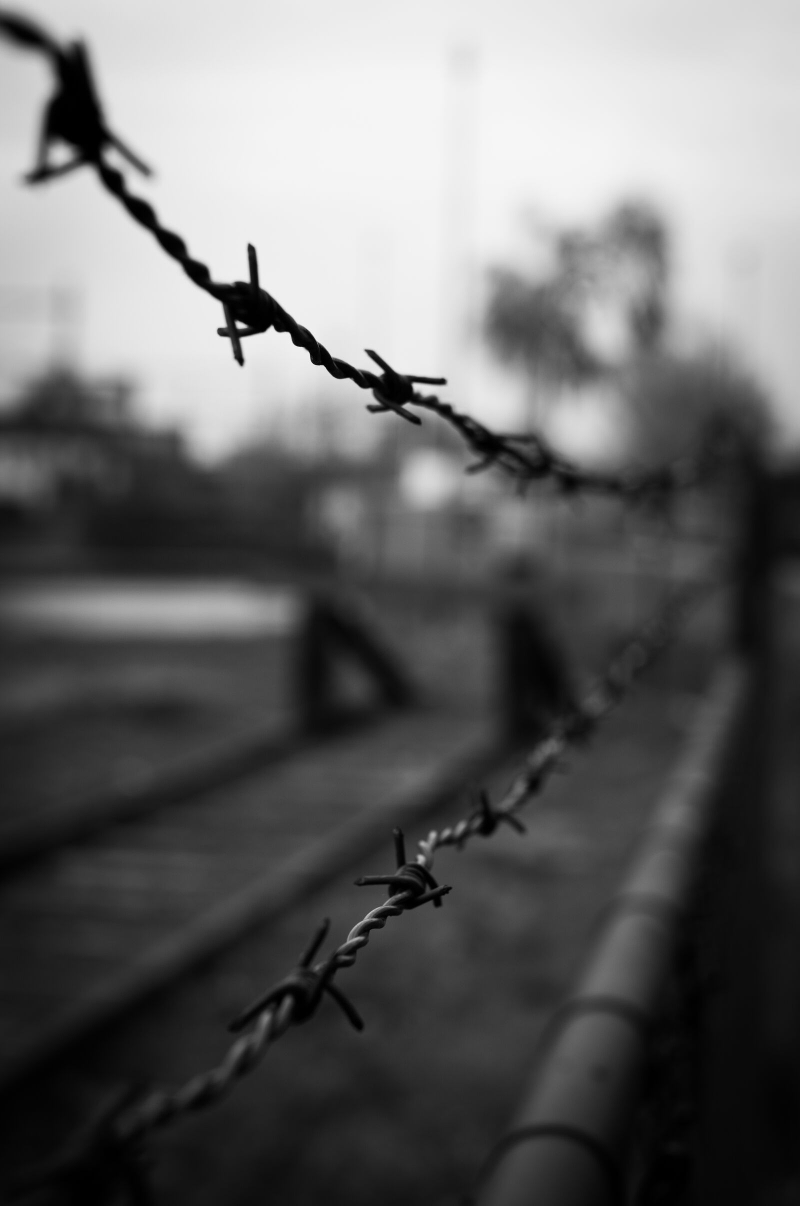 Sony DT 35mm F1.8 SAM sample photo. Black, and, white, fence photography