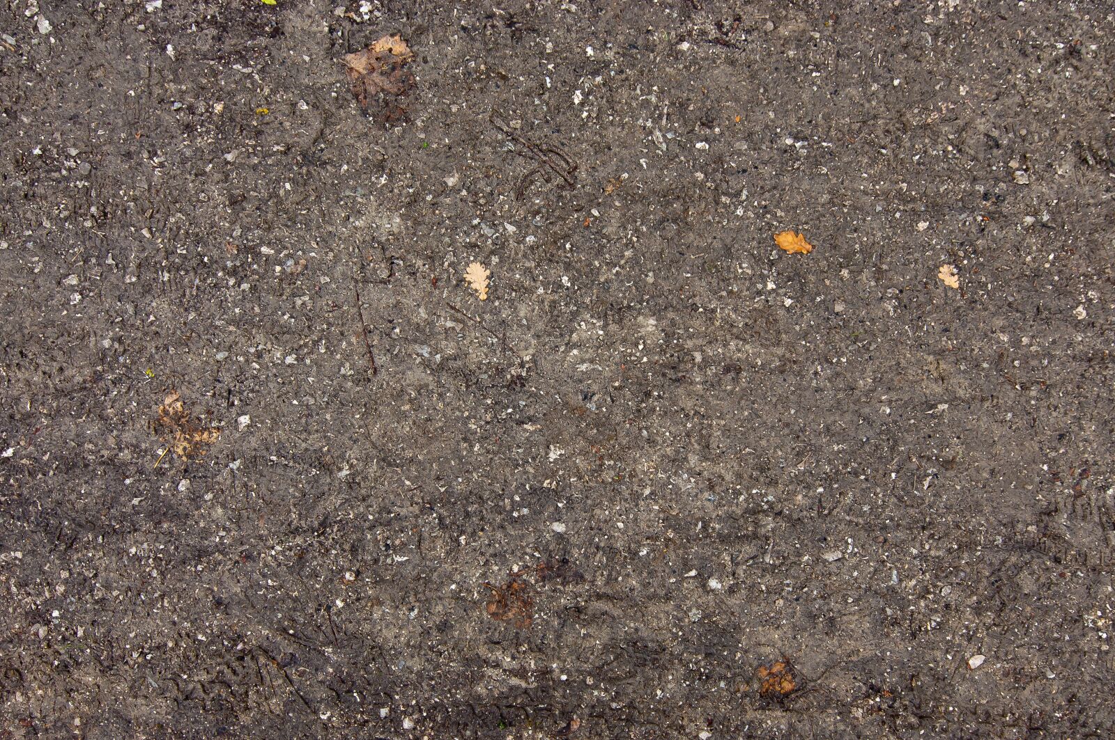 Nikon D90 sample photo. Dirt, ground, brown photography