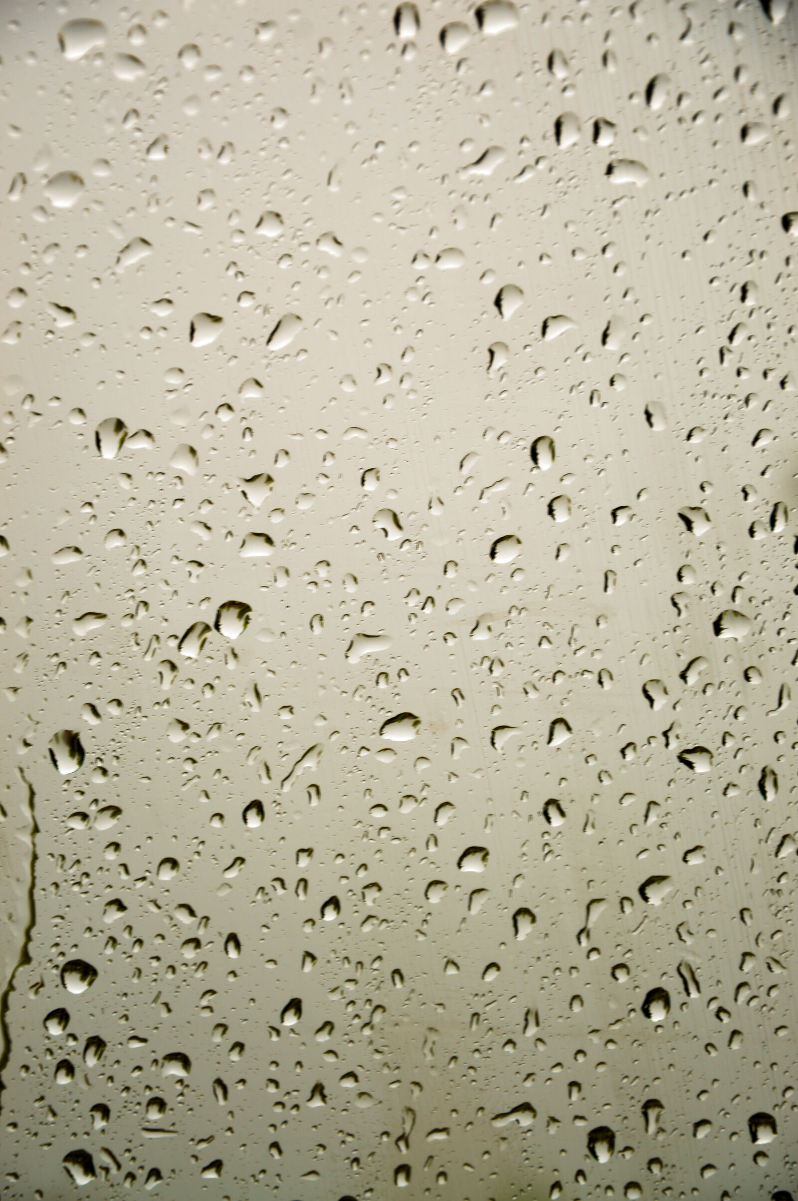 Nikon D3200 sample photo